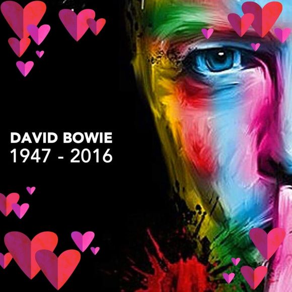 Meet your Posher, Pauline - Picture 1 of 1